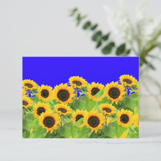 Tarjeta de girasol Colores de bandera ucraniana -  (Anverso de pie)