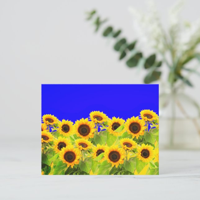 Tarjeta de girasol Colores de bandera ucranianos - (Anverso de pie)