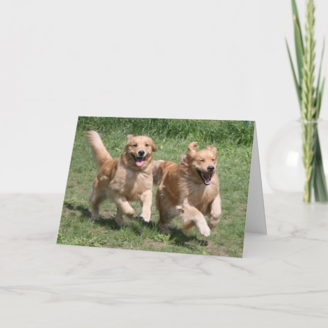 Tarjeta de Golden Retriever ¿Dónde está la fiesta? (Anverso)