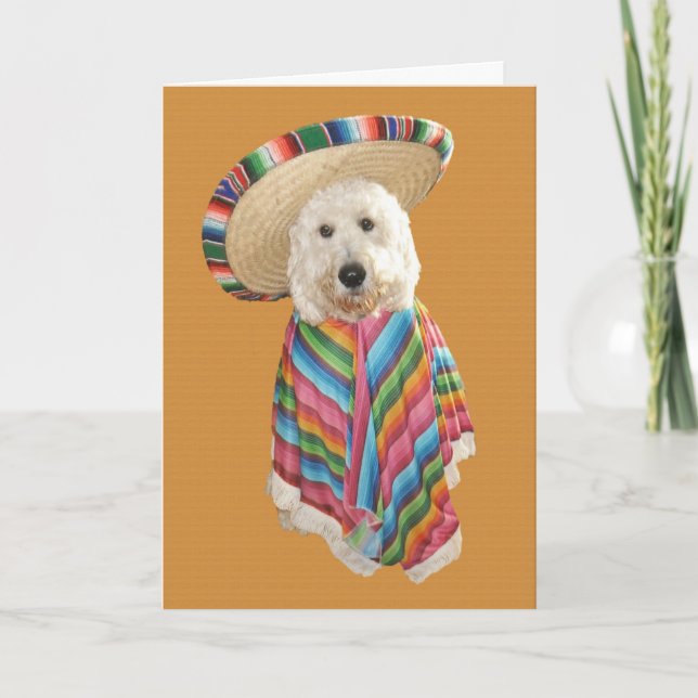 Tarjeta de Goldendoodle Cinco de Mayo (Anverso)