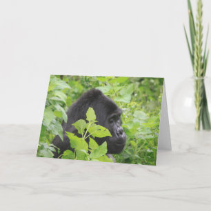 Tarjeta de gorila - Blank en el interior