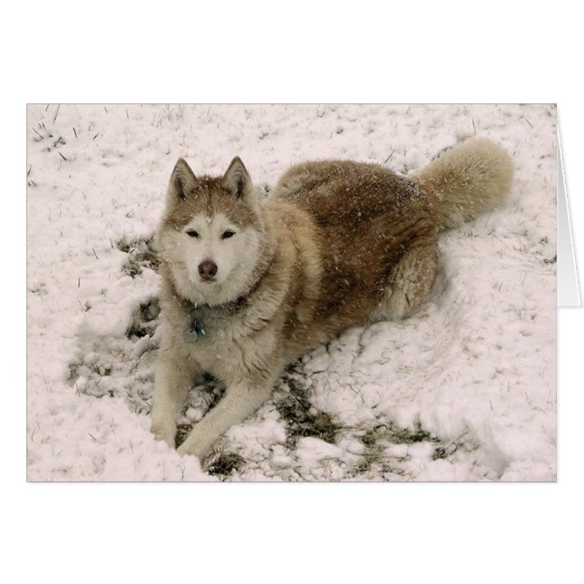 Tarjeta de Gracie 2 (Anverso (Horizontal))