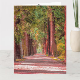 Tarjeta de graduación