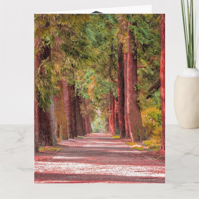 Tarjeta de graduación (Anverso)