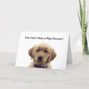 Tarjeta de Graduación de Cachorro Golden Retriever