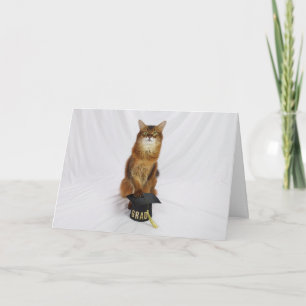 Tarjeta de graduación de gato somalí para graduado