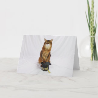 Tarjeta de graduación de gato somalí para graduado