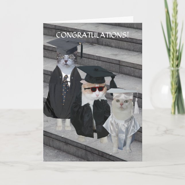 Tarjeta de graduación de gatos/gatitos divertidos  (Anverso)