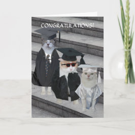 Tarjeta de graduación de gatos/gatitos divertidos 