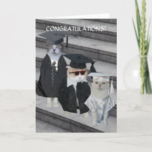 Tarjeta de graduación de gatos/gatitos divertidos 