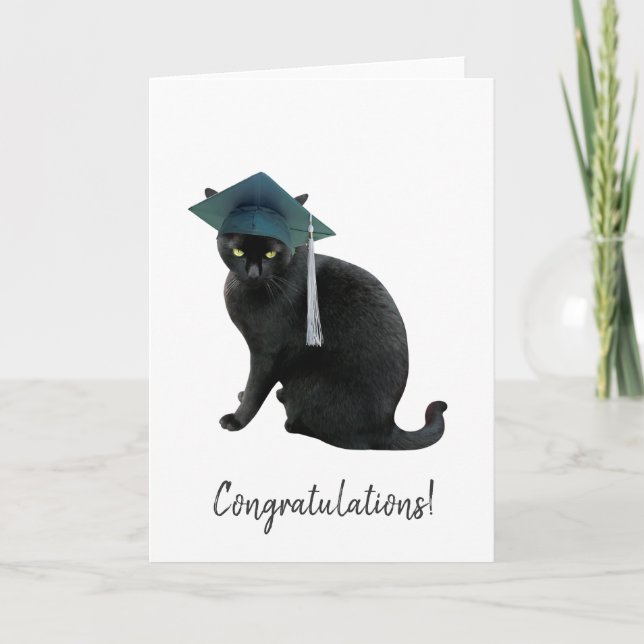 Tarjeta de graduación de gatos grises (Anverso)