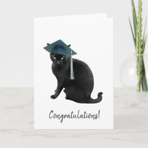 Tarjeta de graduación de gatos grises