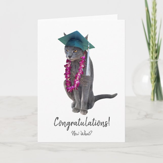 Tarjeta de graduación de gatos grises (Anverso)