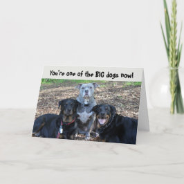 Tarjeta de graduación de perros grandes ahora