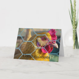 Tarjeta de graduación de pollo