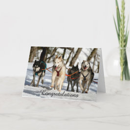 Tarjeta de graduación Husky Siberiana