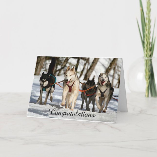 Tarjeta de graduación Husky Siberiana (Anverso)