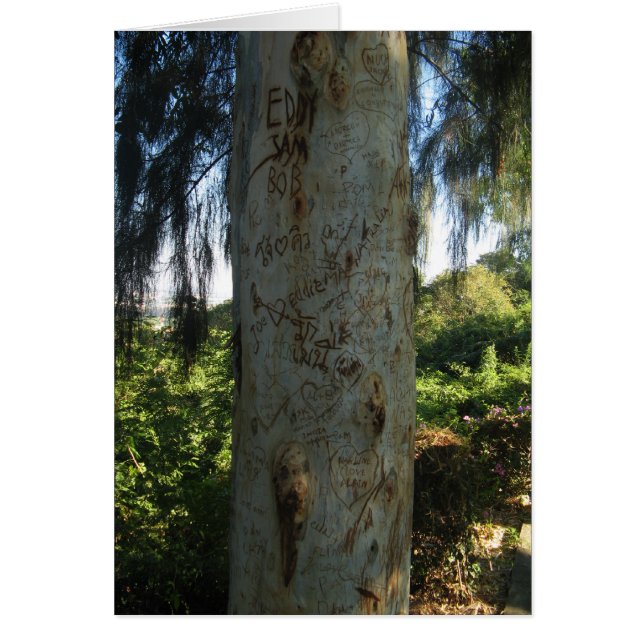 Tarjeta de graffiti de árbol tailandés (Frente)