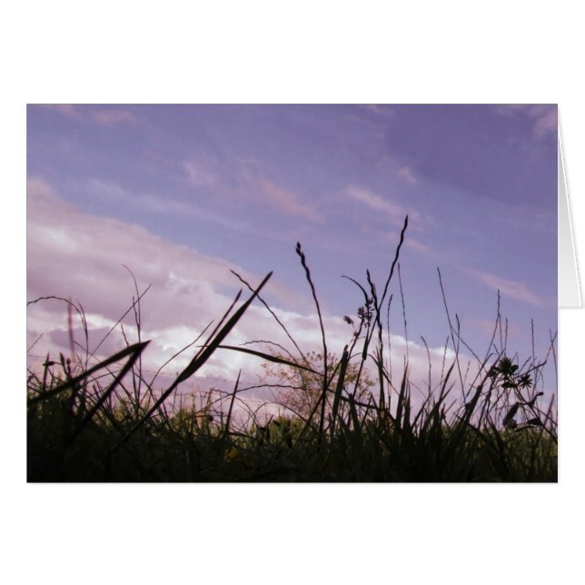 Tarjeta de gramíneas para el atardecer (Anverso (Horizontal))