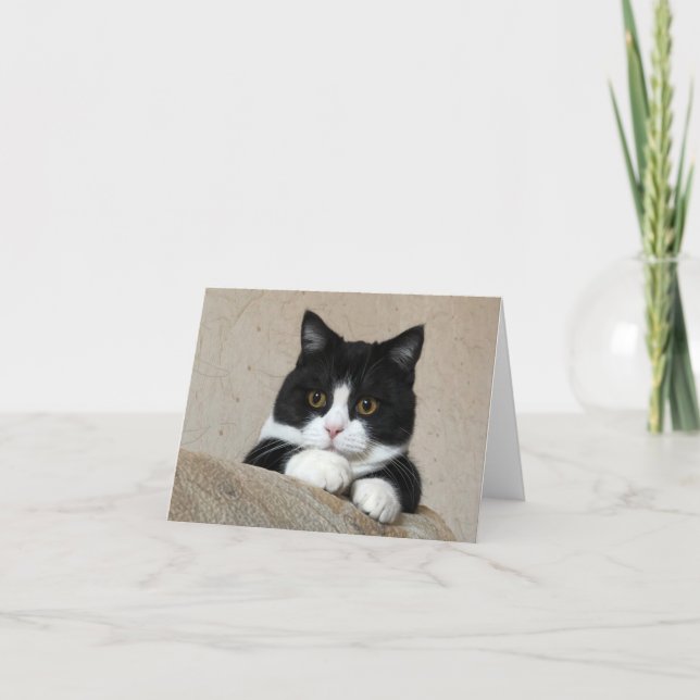 Tarjeta de grandes mejillas de Manchester (Anverso)