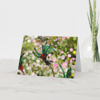 TARJETA DE GREETING - Kangaroo Paw