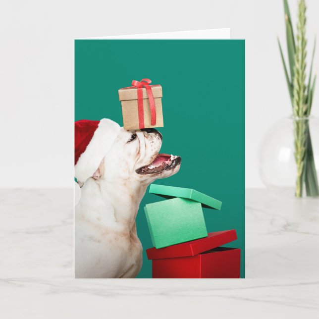 Tarjeta de GREETING para NAVIDADES de bulldog FOLD (Anverso)