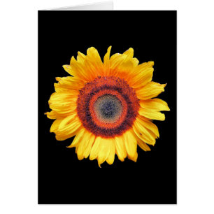 TARJETA DE GREETING SUNFLOWER