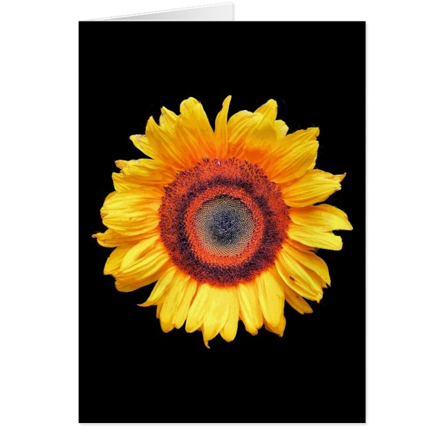 TARJETA DE GREETING SUNFLOWER (Frente)