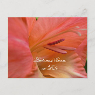 Tarjeta de guardar fecha de primavera de hibisco e