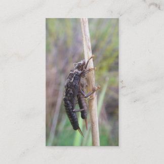 Tarjeta de guía de la pesca con mosca