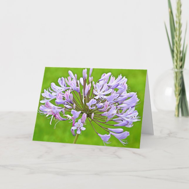 Tarjeta de guiones Agapanthus Lily 2 Corinthians 4 (Anverso)