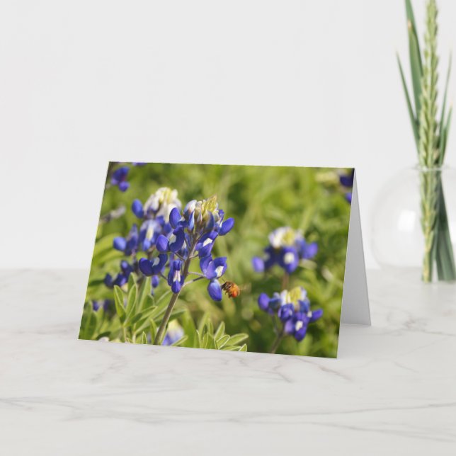 Tarjeta de guiones de bebe y Bluebonnets 2 Peter 1 (Anverso)