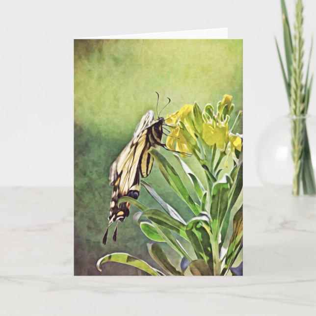 Tarjeta de guiones de pintura de mariposa 1 Peter  (Anverso)