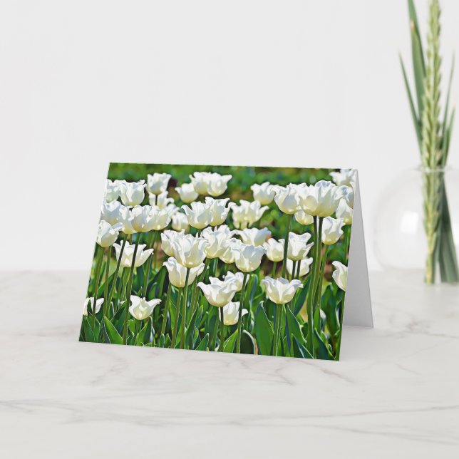 Tarjeta de guiones de tulipanes blancos John 1:16 (Anverso)