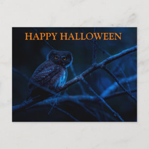 Tarjeta de Halloween aterrador con búhos