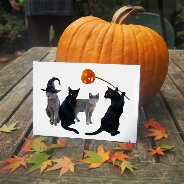 Tarjeta de Halloween con capucha de gato (Subido por el creador)