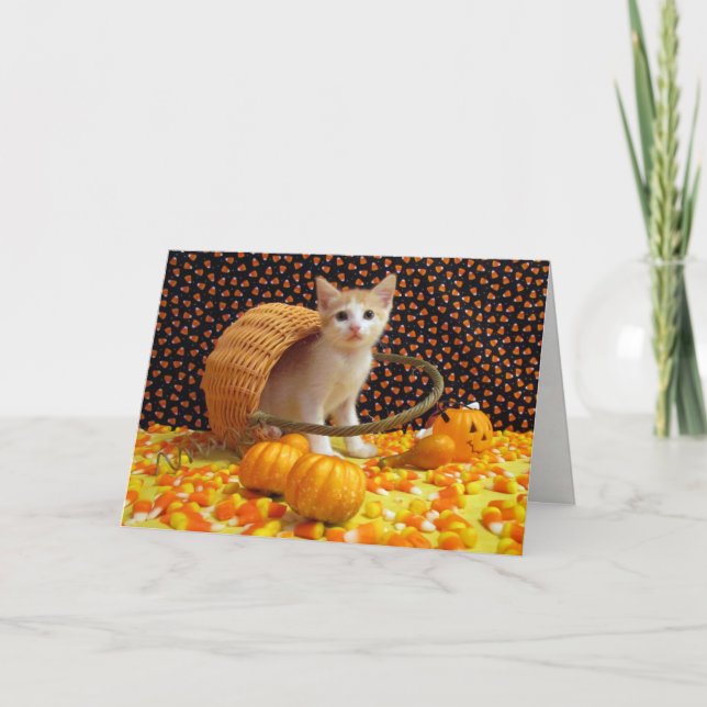 Tarjeta de Halloween de Annie's Sweet Cat / Kitten (Anverso)