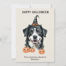 Tarjeta de Halloween de perro de montaña bernés | 
