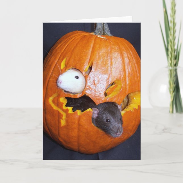 Tarjeta de Halloween de Rattie en blanco (Anverso)