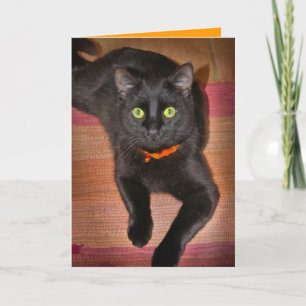 Tarjeta de Halloween del gato negro