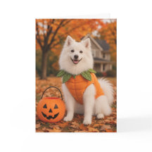 Tarjeta de Halloween para Perro Esquimal Americano