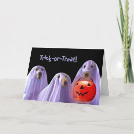 Tarjeta de Halloween para perros fantasma de truco