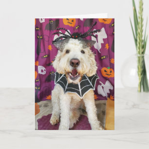 Tarjeta de Halloween para perros Goldendoodle