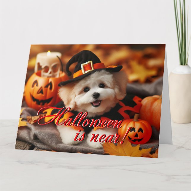 Tarjeta de Halloween Perro Maltipoo (Anverso)