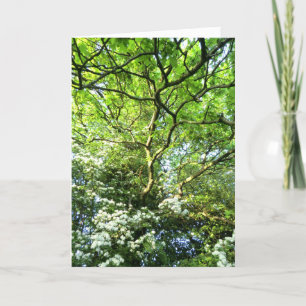 Tarjeta de Handfasting del espino y del roble