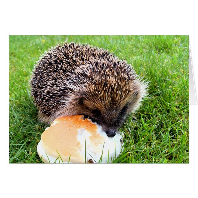 Tarjeta de HEDGEHOG CUTE (Anverso (Horizontal))