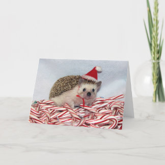 Tarjeta de Hedgie del navidad