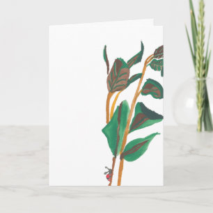 Tarjeta de Helecho de Mariquita