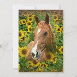 Tarjeta de hermosos caballos en campo de girasoles