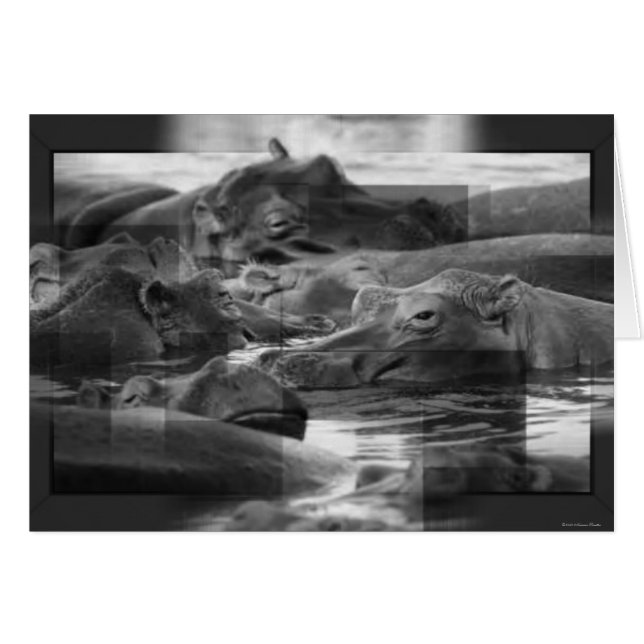 Tarjeta de hipopótamos (Anverso (Horizontal))